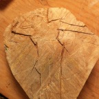 page21-1008-full.html