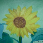 page13-1001-full.html